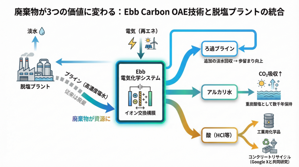 Ebb Carbonの脱塩プラント統合モデルを示すフロー図。脱塩プラントから排出されるブライン（従来は廃棄）をEbbの電気化学システムに通し、ろ過ブライン（追加の淡水回収）・アルカリ水（海へ放流しCO₂吸収を促進）・酸（工業用化学品やコンクリートリサイクル）の3つの価値に変換する流れ