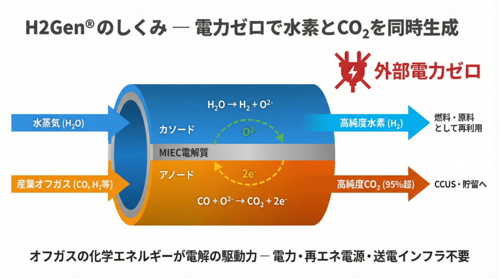 H2Gen管状電気化学セルの断面図：管内側に水蒸気を流しカソードで水素を生成、管外側にオフガスを流しアノードでCO₂に変換、MIEC電解質を介して酸素イオンと電子が循環する仕組み